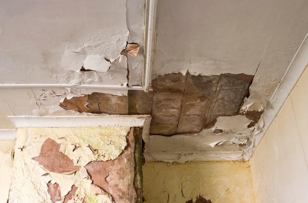 Roof Repair